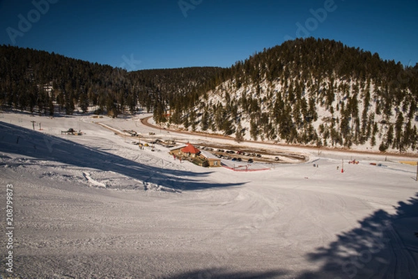 Fototapeta Landscape view at Ski Cloudcroft in the winter. 