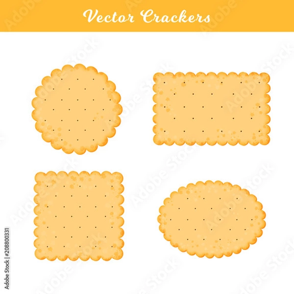 Fototapeta Vector Illustration. Set of health crackers. Isolated cookie