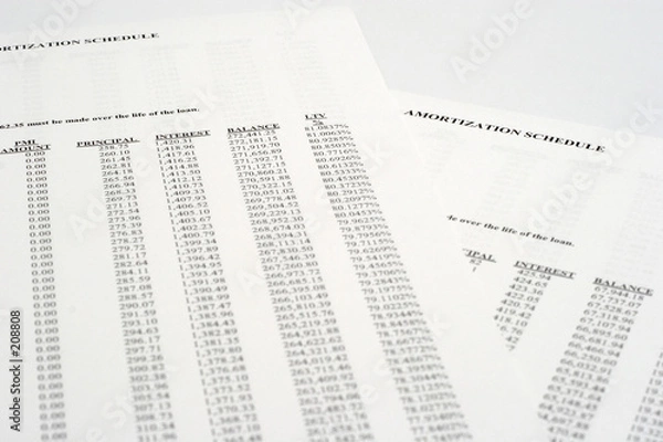 Fototapeta Harmonogram amortyzacji