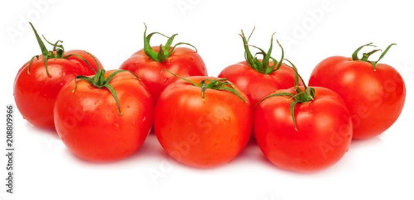 Fototapeta Fresh tomatoes isolated on white