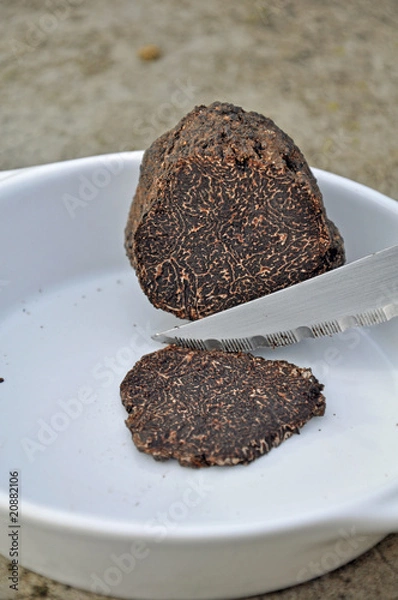 Obraz lamelle de truffe