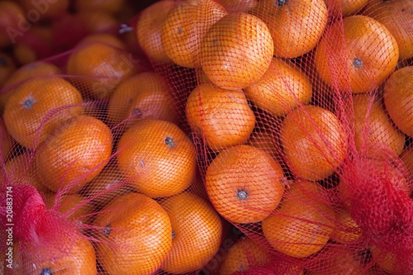 Obraz fresh  mandarines in a net