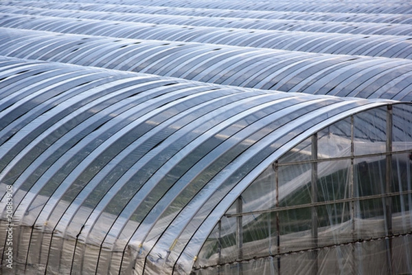 Obraz Greenhouses lined up