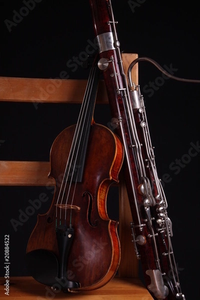 Obraz violin bassoon