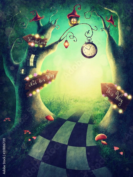 Obraz Zaczarowane drewno