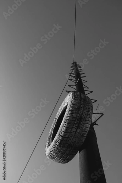 Obraz Telephone pole - Black and White