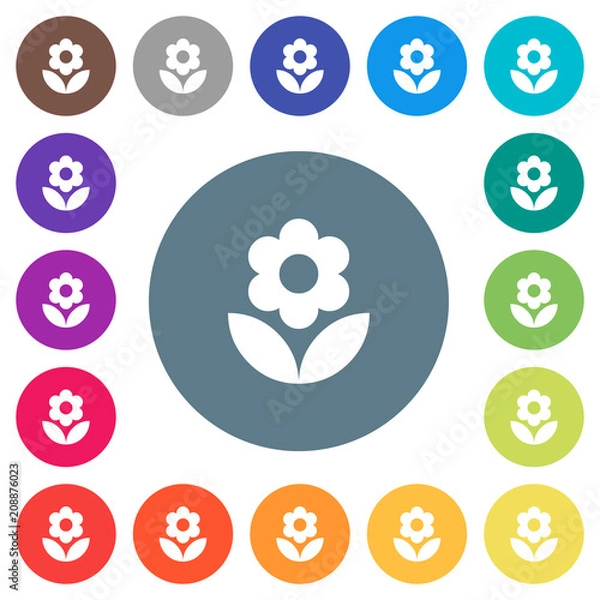 Fototapeta Flower flat white icons on round color backgrounds