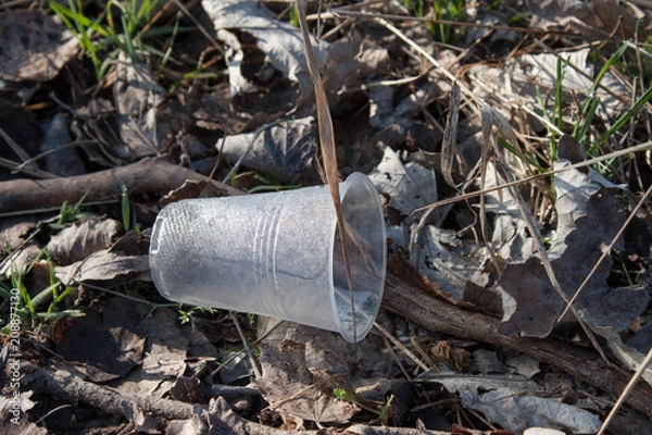 Fototapeta Plastic cup in the forest