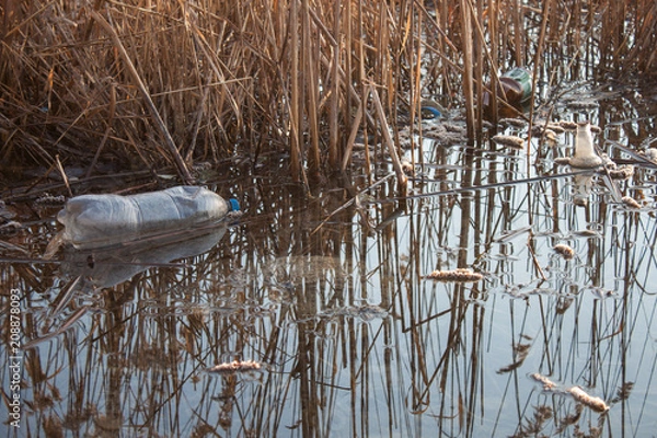 Fototapeta Plastic bottle floating in the water