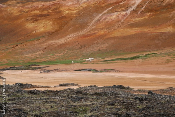 Obraz goats on volacano