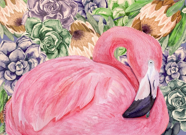 Fototapeta Akwarela flaming z sukulentami i kwiatami protea. Ręcznie rysowane ilustracji.