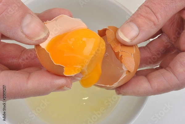Fototapeta open one organic egg to separate yolk