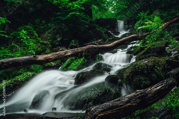 Obraz Waterfall next to the Rheinsteig hiking trail, Melsbach, Westerwald forest