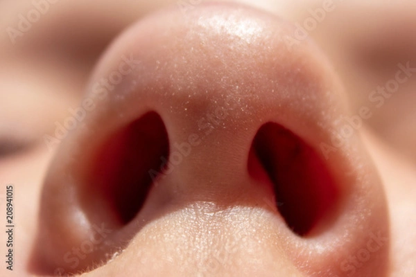 Obraz Women's nose, close-up