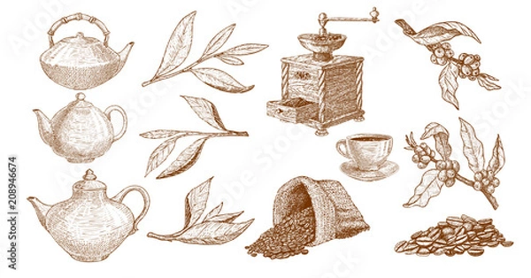 Obraz Coffee set with coffee and tea plants, grinder and pots illustration in hand drawn style, engraving.