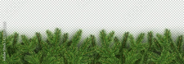 Fototapeta Christmas, New Year, Winter border with realistic branches of Christmas tree