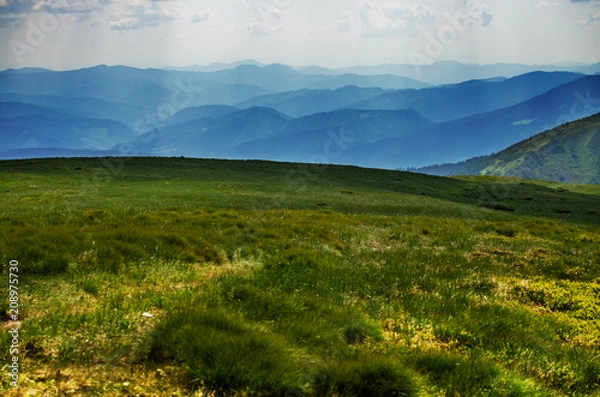 Obraz The landscape on the Carpathian Mountains in Ukraine