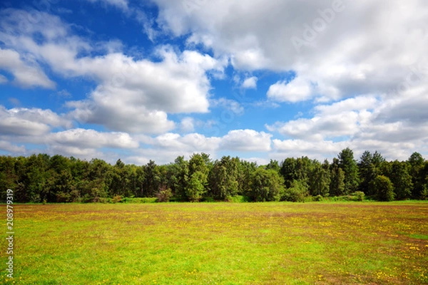 Fototapeta Meadown, tree and sky during autumn