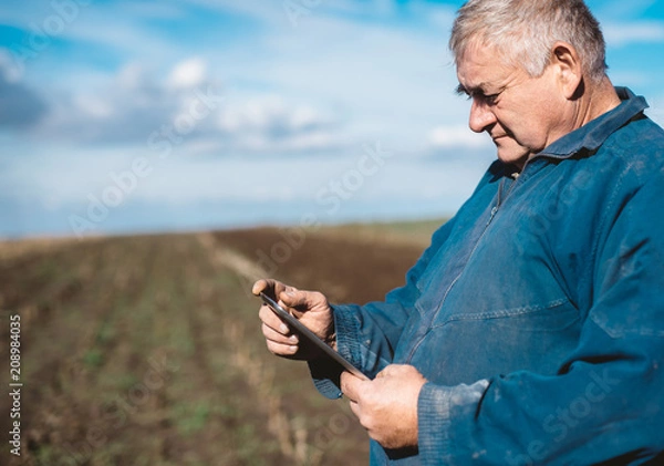 Fototapeta Framer controls the work in the field over its tablet