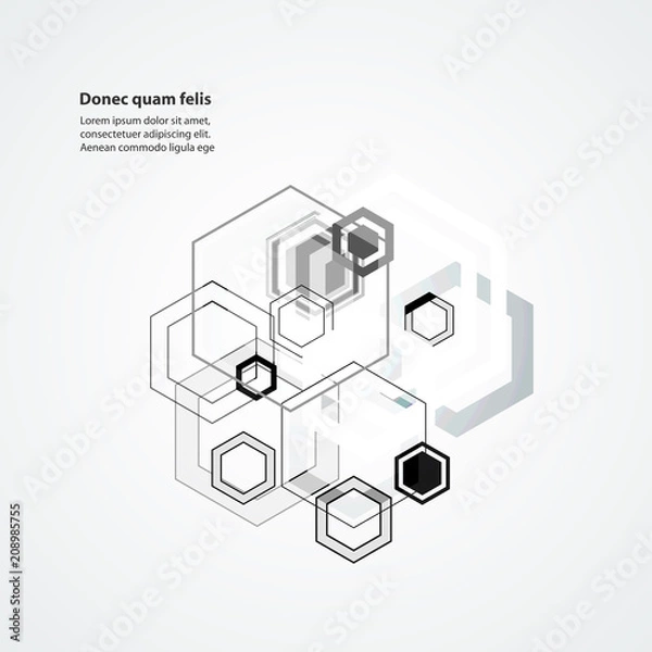 Fototapeta Abstract connect hexagonal structure background