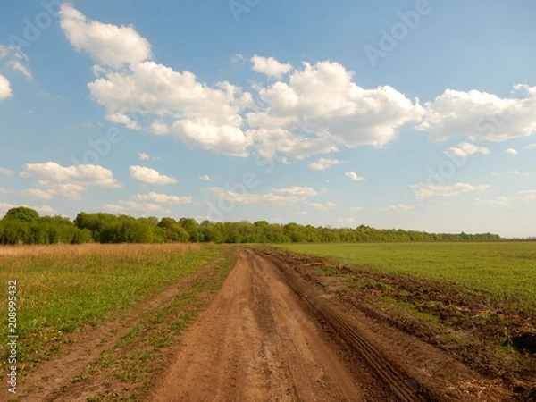 Obraz road in the field