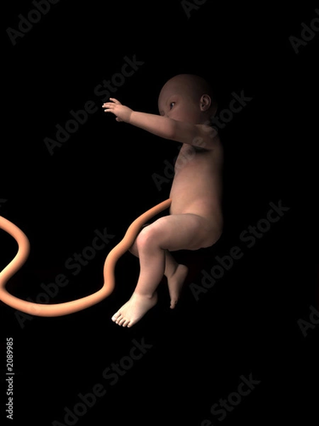 Obraz baby in womb 3