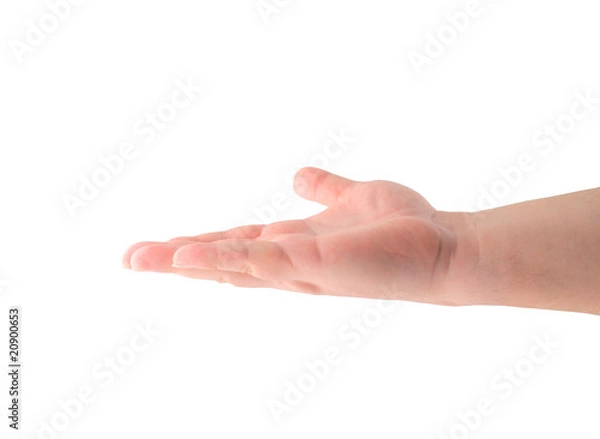Obraz Empty hand isolated on white background