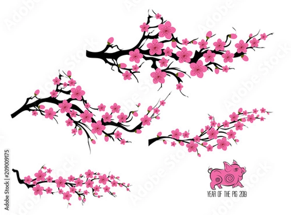 Fototapeta Japan cherry blossom branching tree. Japanese invitation card with asian blossoming plum branch. Year of the pig