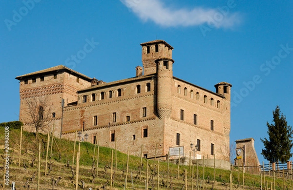 Obraz Castello di Grinzane Cavour