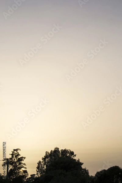 Fototapeta atardecer