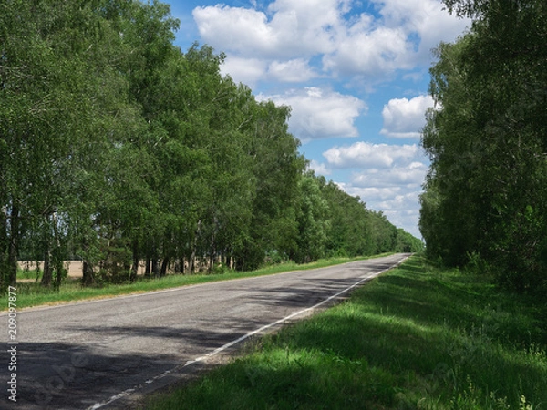 Obraz Old road in the countryside
