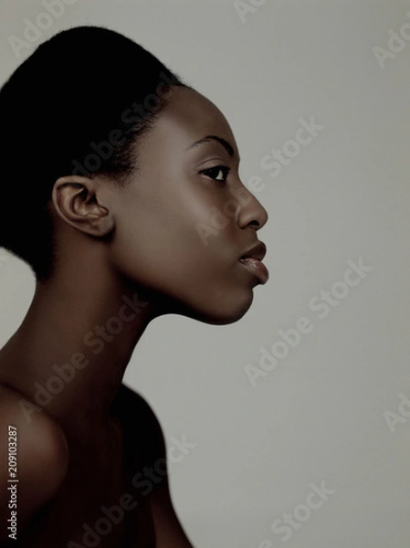 Obraz Model Beauty Stylish Makeup Portrait