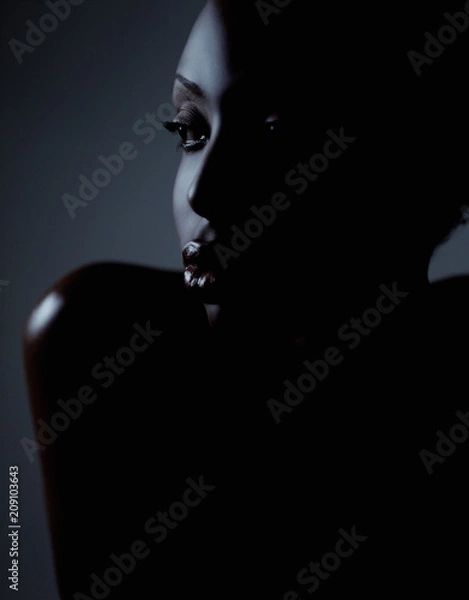 Obraz Model Beauty Stylish Makeup Portrait