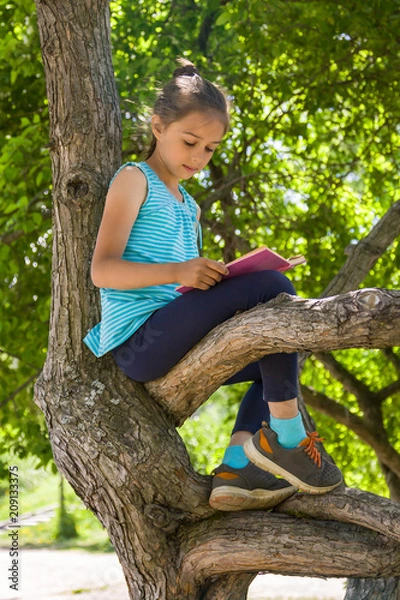 Obraz Cute little girl is sitting on a tree in summer park and reading a book 