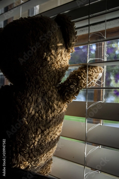 Obraz Teddybear Lookout