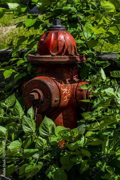 Fototapeta Fire Hydrant