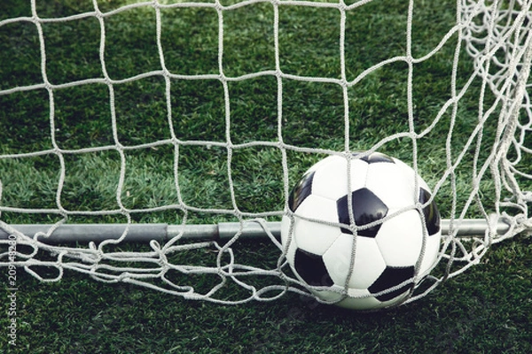 Fototapeta Ball im Netz