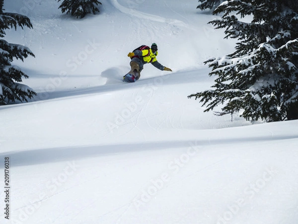 Fototapeta Backcountry Snowboarding Background Pow Turn Trail