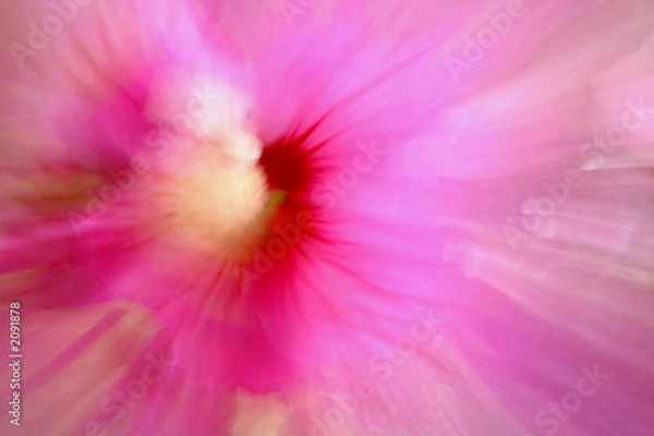 Obraz parfum de fleur 1