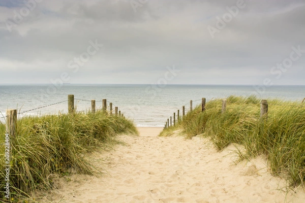 Obraz Holenderski obszar przybrzeżny z piaskiem, plażą, trawą Marram i wejściem do Morza Północnego