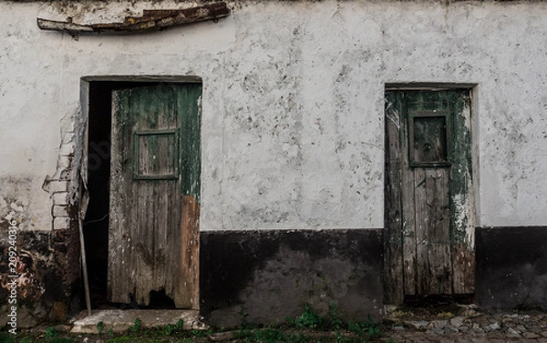 Obraz Neighbours