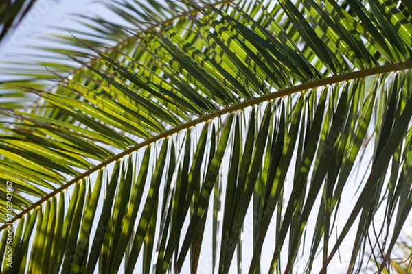 Fototapeta może nad morze?