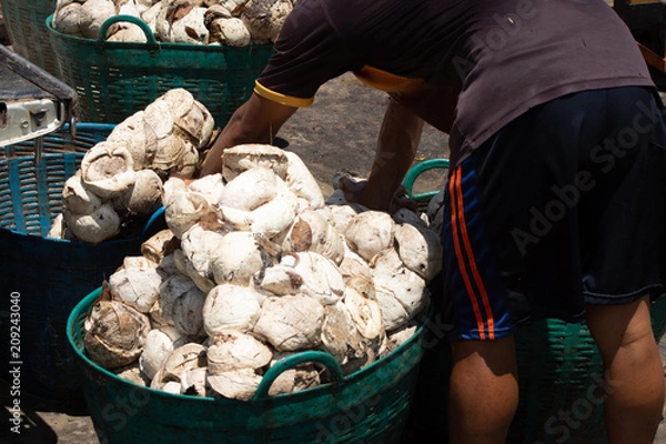 Obraz The rubber store to sell to the store.