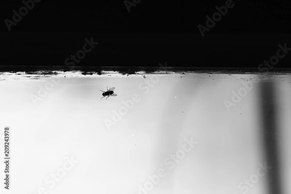 Obraz point spotting