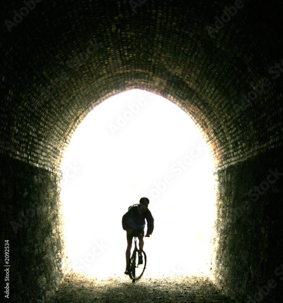 Fototapeta enter the light