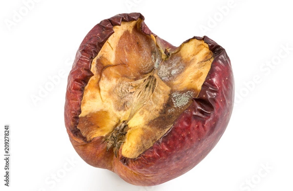Fototapeta Red moldy apple or rotting apple as concept of skin problems, isolated on white background with clipping path.