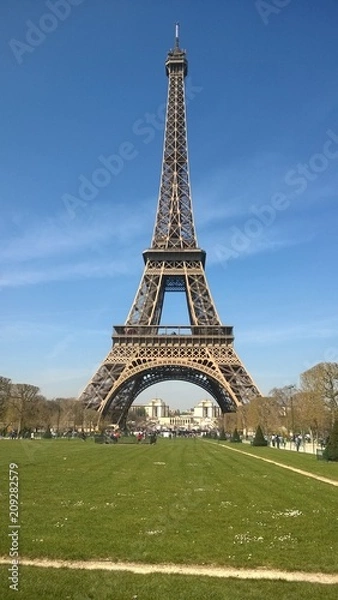 Fototapeta Eiffelturm im Grünen