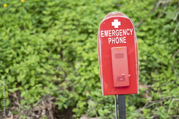 Fototapeta Red emergency phone or safety call box near swimming pool nature background