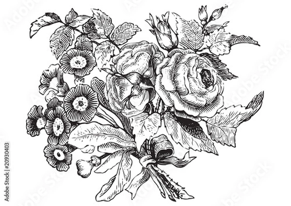 Obraz antique flowers engraving (vector)