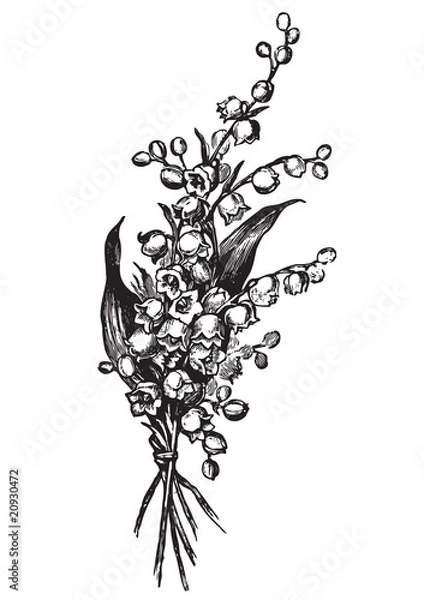 Obraz antique flowers engraving (vector)